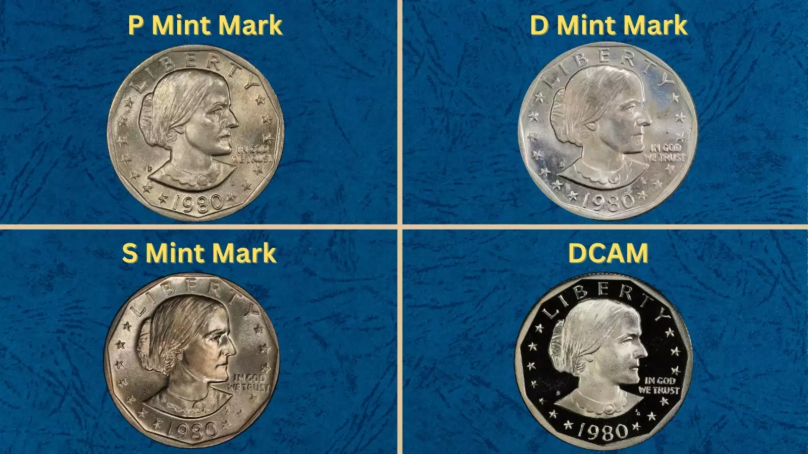 Group of 1980 Susan B. Anthony dollars showing all three mint marks P, D, and S arranged together on display